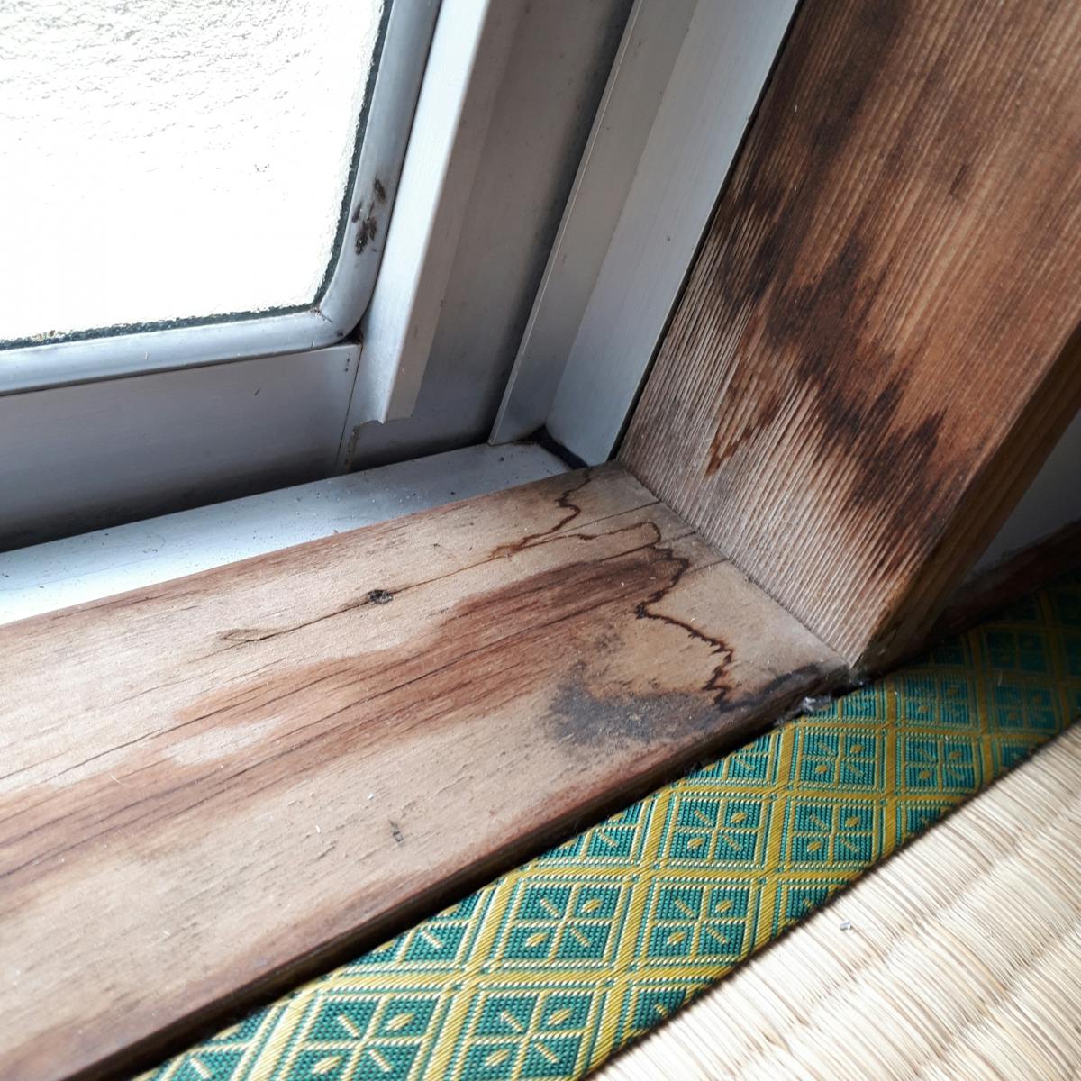 結露_カビ_腐食